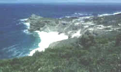 Blick auf den Cape Point, das Kap der Guten Hoffnung befindet sich etwa 2 Kilometer weiter westlich