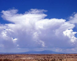 Impresion aus der Karoo